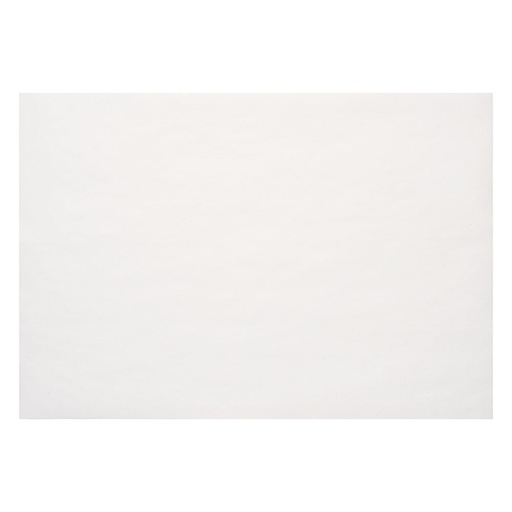 [9514WH] White Straight-Edge Placemats 9.5x14in 1M